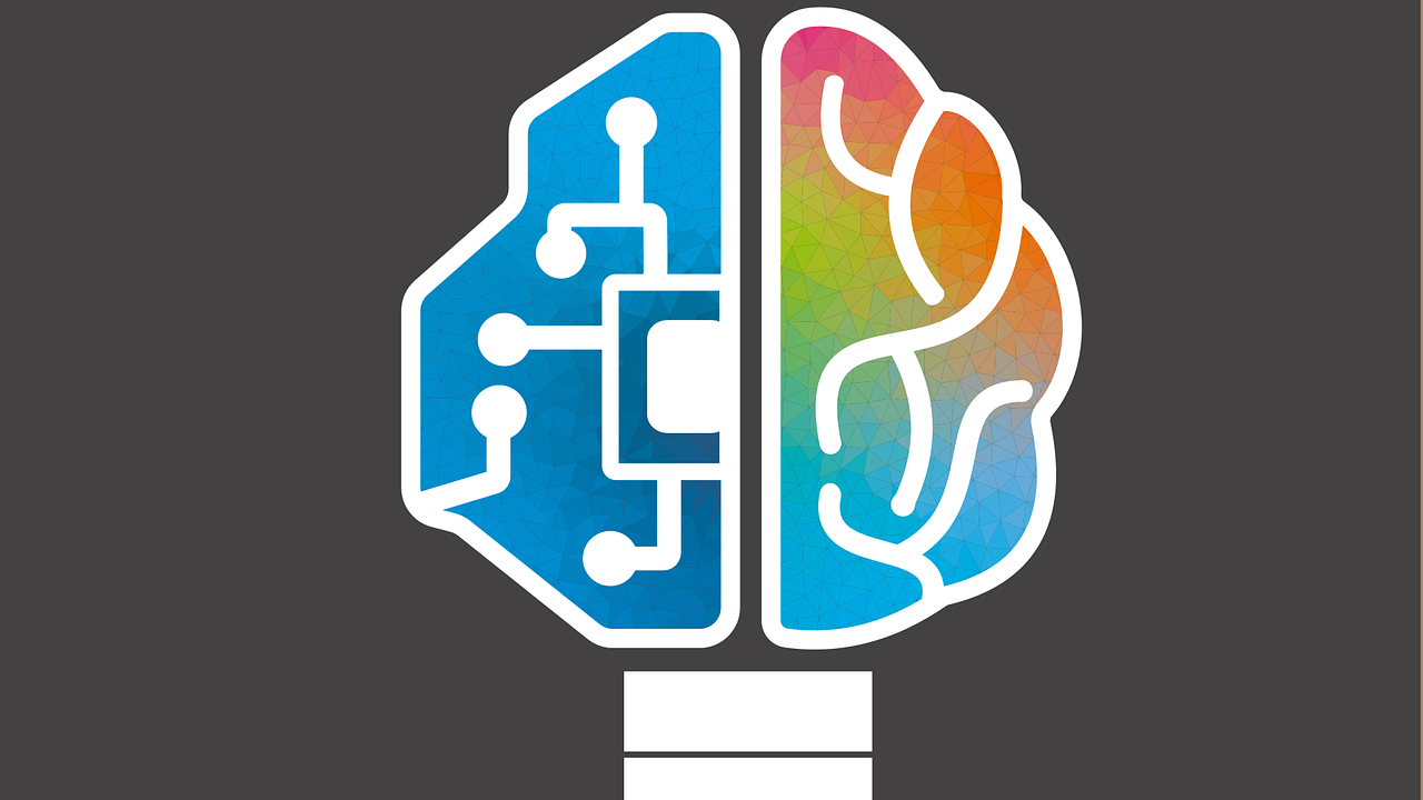 Httpspixabay comusersbrunomathiaslima 2948488 623de9c9daa88