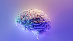 Milad Fakurian 58 Z17ln Vs4 U Unsplash 6245bc58c487e Milad Fakurian 58 Z17ln Vs4 U Unsplash 6245bc58c487e