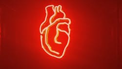 Pexels Allec Gomes 9762615 622102f2c61a5 Pexels Allec Gomes 9762615 622102f2c61a5