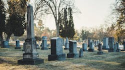 Pexels Brett Sayles 3653998 622b835c66275 Pexels Brett Sayles 3653998 622b835c66275