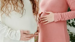 Pexels Matilda Wormwood 7484994 622a2b7ba8f65 Pexels Matilda Wormwood 7484994 622a2b7ba8f65