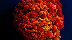Courtesy of National Institute of Allergy and Infectious Diseases (NIAID) and the CDC