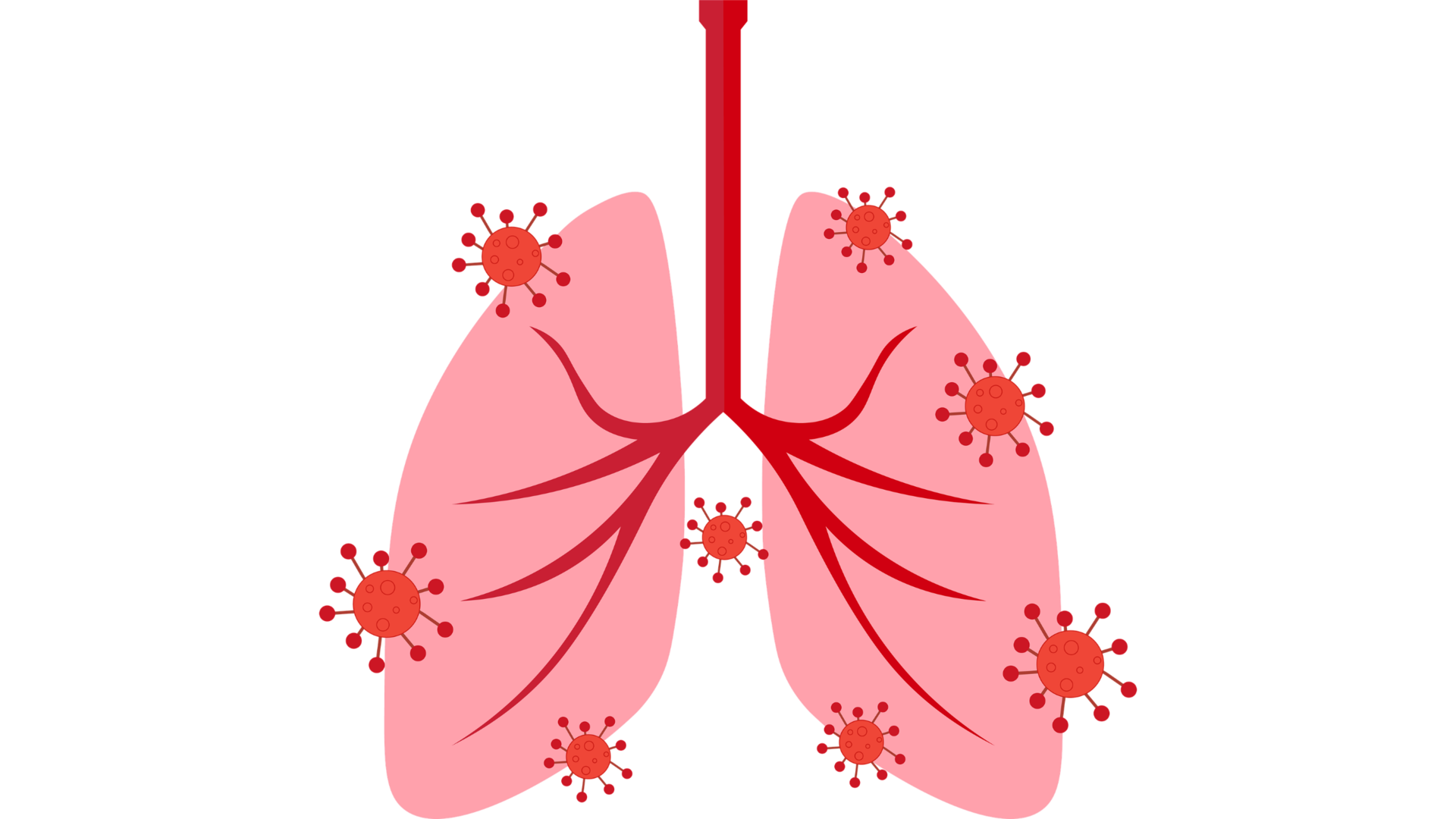 3 17 2022 12 47 19 Pm 62336628abc2c