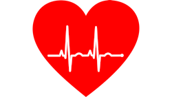 3 22 2022 9 02 32 Am 6239c8fa0c7ad 3 22 2022 9 02 32 Am 6239c8fa0c7ad