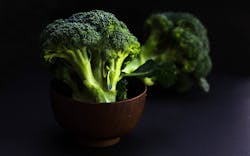 Bowl Of Broccoli G641a18f4b 1920 623c9a2f62a56 Bowl Of Broccoli G641a18f4b 1920 623c9a2f62a56