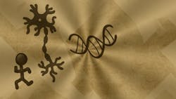 Neurological G96c5a0df1 1920 62263d7abb8cd Neurological G96c5a0df1 1920 62263d7abb8cd