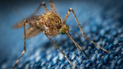 Pexels Egor Kamelev 1685610 6233611351524 Pexels Egor Kamelev 1685610 6233611351524