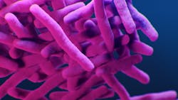 23254 625057ffe319e 23254 625057ffe319e