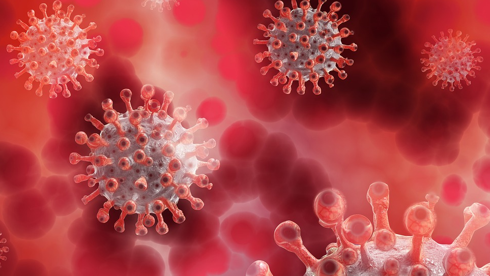 Corona 5174671 1920 624db40b18222