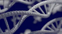 Dna 5297378 1920