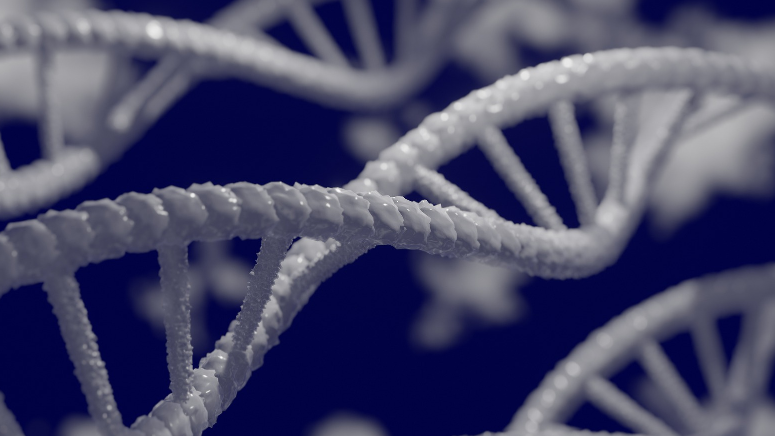 Dna 5297378 1920 1 626c05737645d