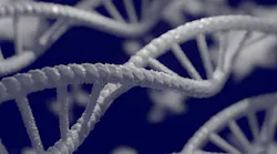 Dna 5297378 1920 (1)