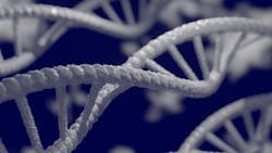 Dna 5297378 1920 1 626c05737645d Dna 5297378 1920 1 626c05737645d