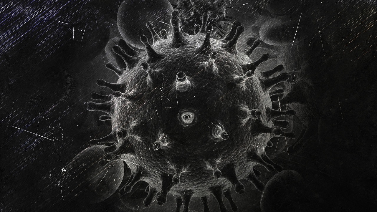 Hiv 1903371 1280 62602a2cd3421