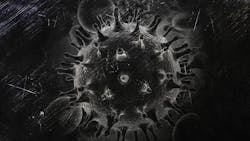 Hiv 1903371 1280 62602a2cd3421 Hiv 1903371 1280 62602a2cd3421