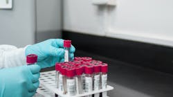 Lab 3498584 1920 62506214ea799 Lab 3498584 1920 62506214ea799