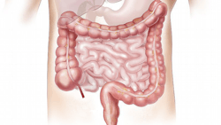 Offal 1463369 1280 624f0e2ec3045 Offal 1463369 1280 624f0e2ec3045