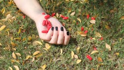 Pills 824991 1920 625839deb1660 Pills 824991 1920 625839deb1660