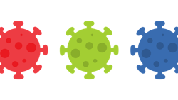 Virus 4986015 1280 62696b9291be6 Virus 4986015 1280 62696b9291be6