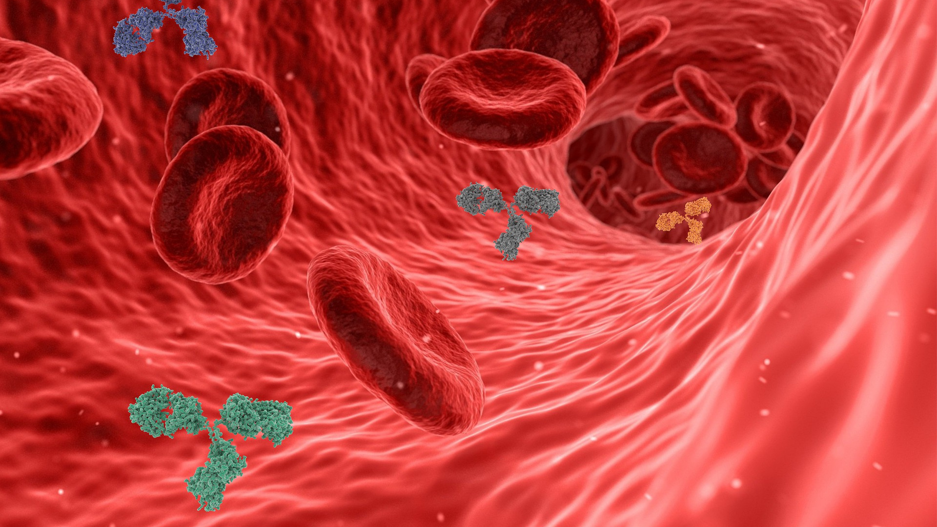 Virus 5741636 1920 6261871214cc1