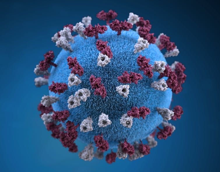 3D graphic representation of a spherical-shaped, measles virus particle, courtesy of the CDC.