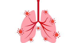 4 11 2022 10 52 34 Am 625440bb24688 4 11 2022 10 52 34 Am 625440bb24688