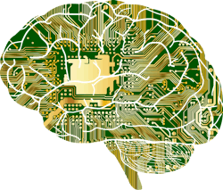 Anatomy 1751201 1280 62471c8c44f13 Anatomy 1751201 1280 62471c8c44f13