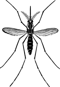 Animal 2029651 1280 6247298320c2b Animal 2029651 1280 6247298320c2b