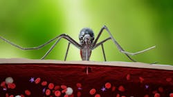 Adobe Stock 276496314 6282716bd0281 Adobe Stock 276496314 6282716bd0281