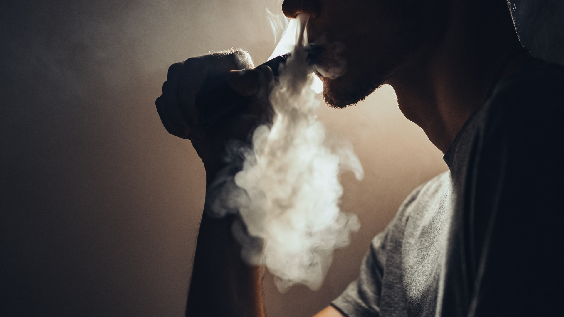 Adobe Stock 288857505 6290ebadef425