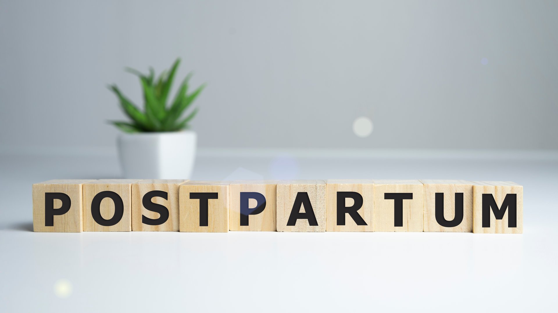 Adobe Stock 333279521 6290d2cf605f1