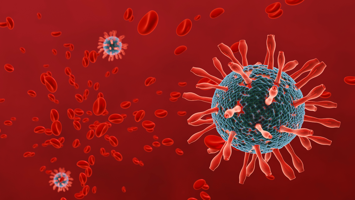 Adobe Stock 335317422 628f9019aa921