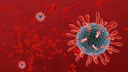 Adobe Stock 335317422 628f9019aa921 Adobe Stock 335317422 628f9019aa921