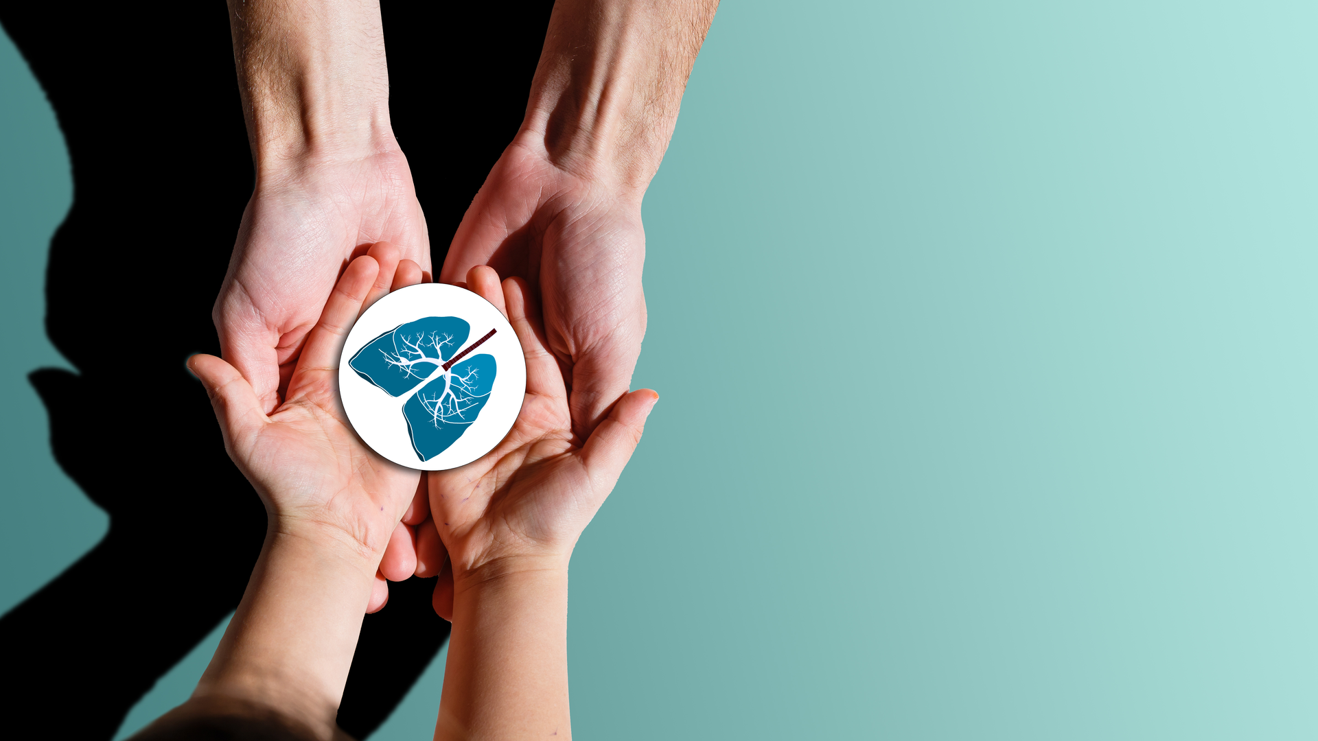 Adobe Stock 385705593 628e49375be83