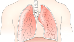 Anatomy 145696 1280 6271445523fbc Anatomy 145696 1280 6271445523fbc