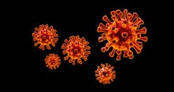 Adobe Stock 331554686 627e691d52a6c Adobe Stock 331554686 627e691d52a6c