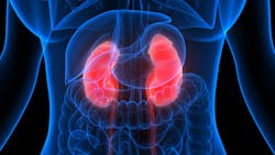 Adobe Stock 331949056 6290ed07499b7 Adobe Stock 331949056 6290ed07499b7