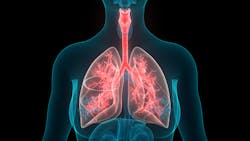 Adobe Stock 331949106 628b9f68c8042 Adobe Stock 331949106 628b9f68c8042