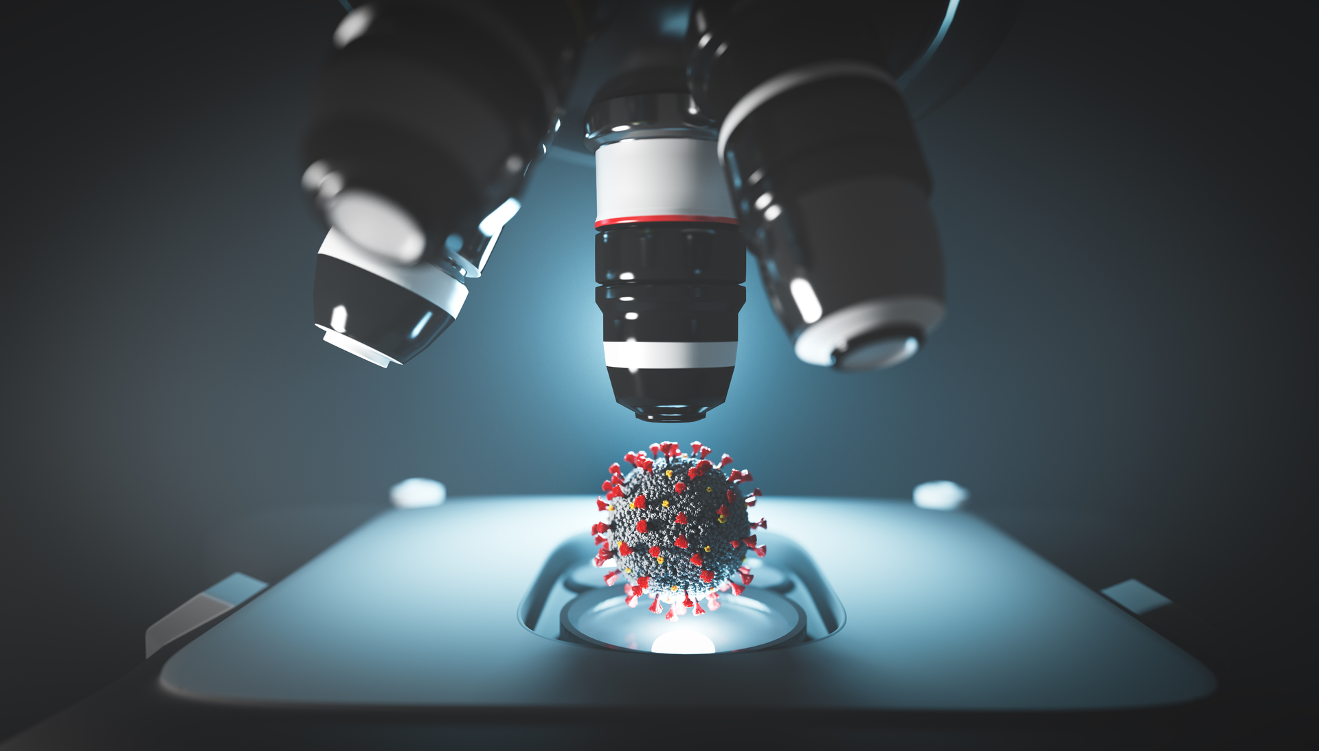 Adobe Stock 368791059 62826bba6d2a8