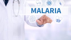 Adobe Stock 111832901 629e1b3543ce1 Adobe Stock 111832901 629e1b3543ce1