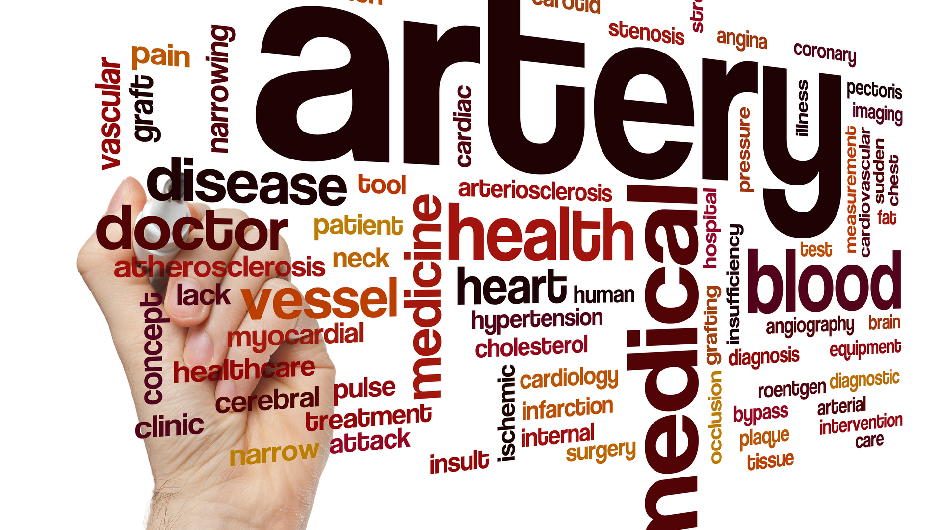 Adobe Stock 120734008 62b1d7d0762a8