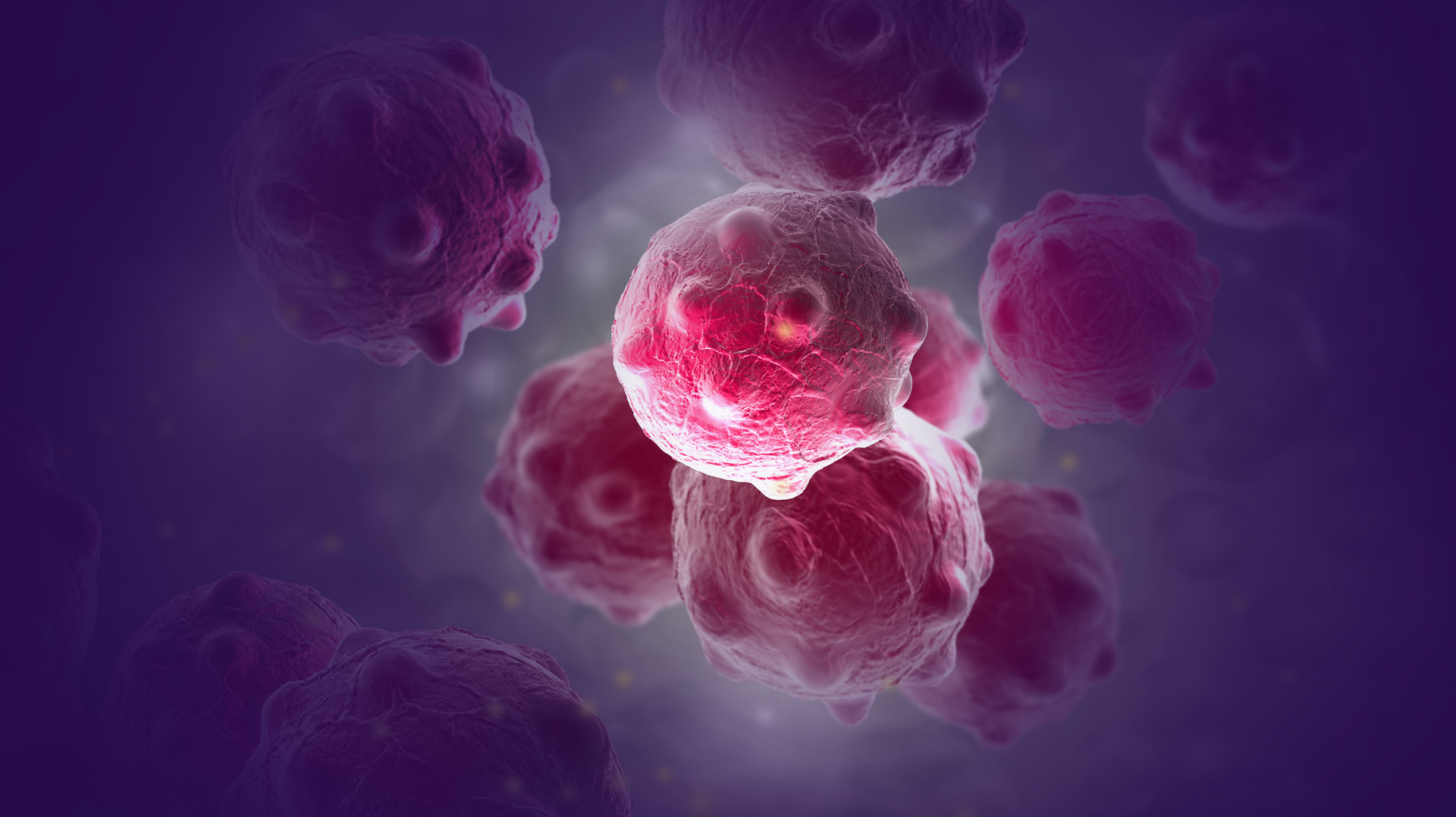 Adobe Stock 151265649 62b32fc2251d0