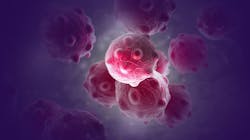 Adobe Stock 151265649 62b32fc2251d0 Adobe Stock 151265649 62b32fc2251d0