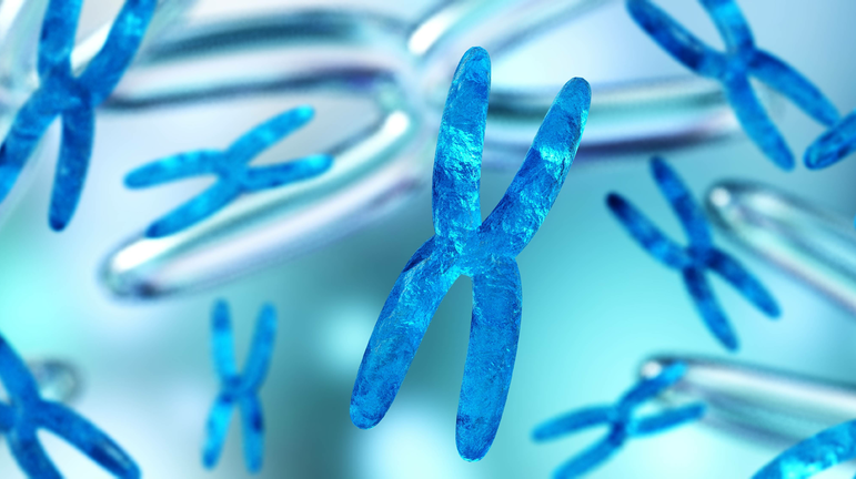 Adobe Stock 229043399 62a9f36e1df71