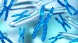 Adobe Stock 229043399 62a9f36e1df71 Adobe Stock 229043399 62a9f36e1df71