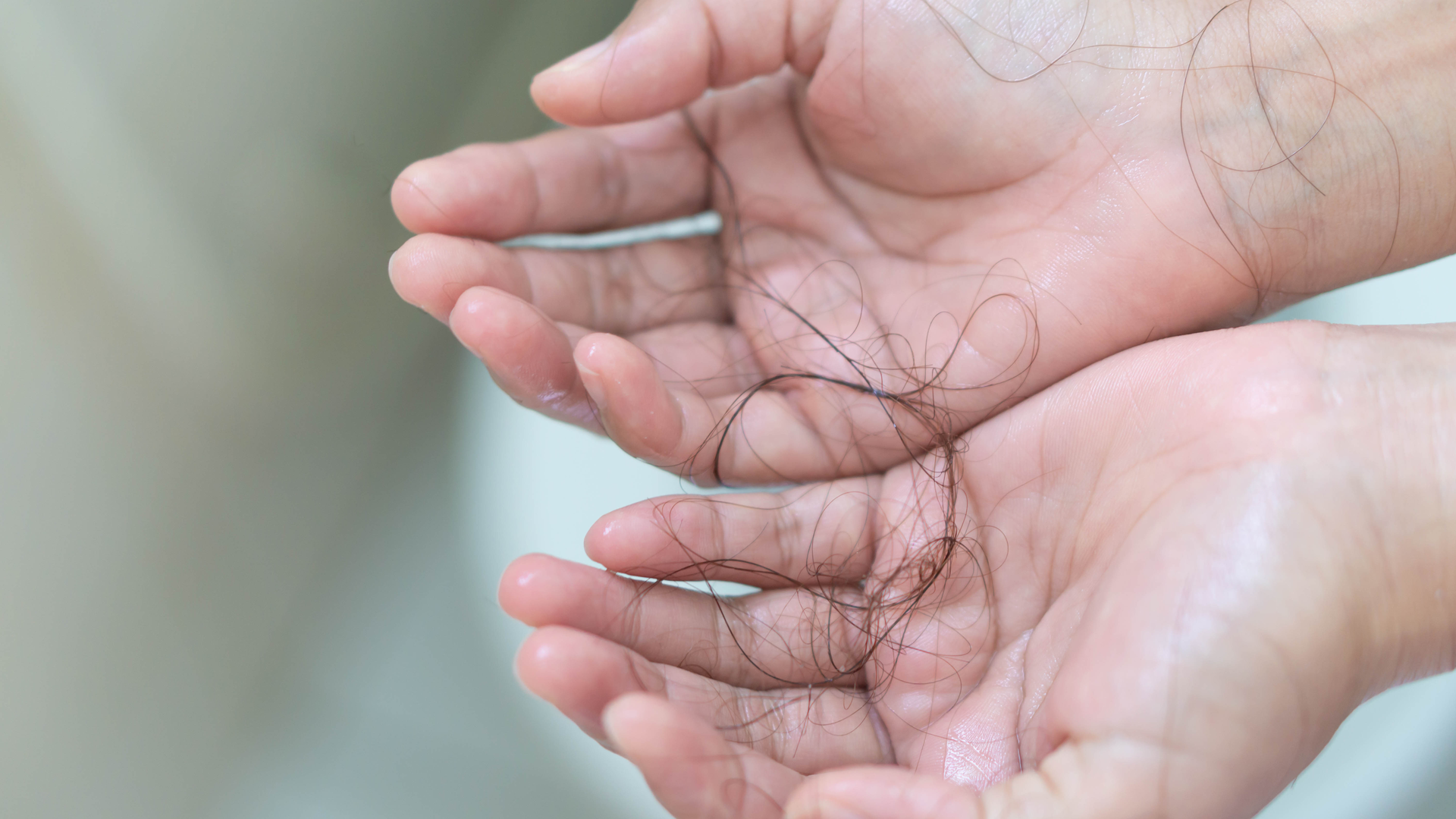 Adobe Stock 266732189 62a89cb288413