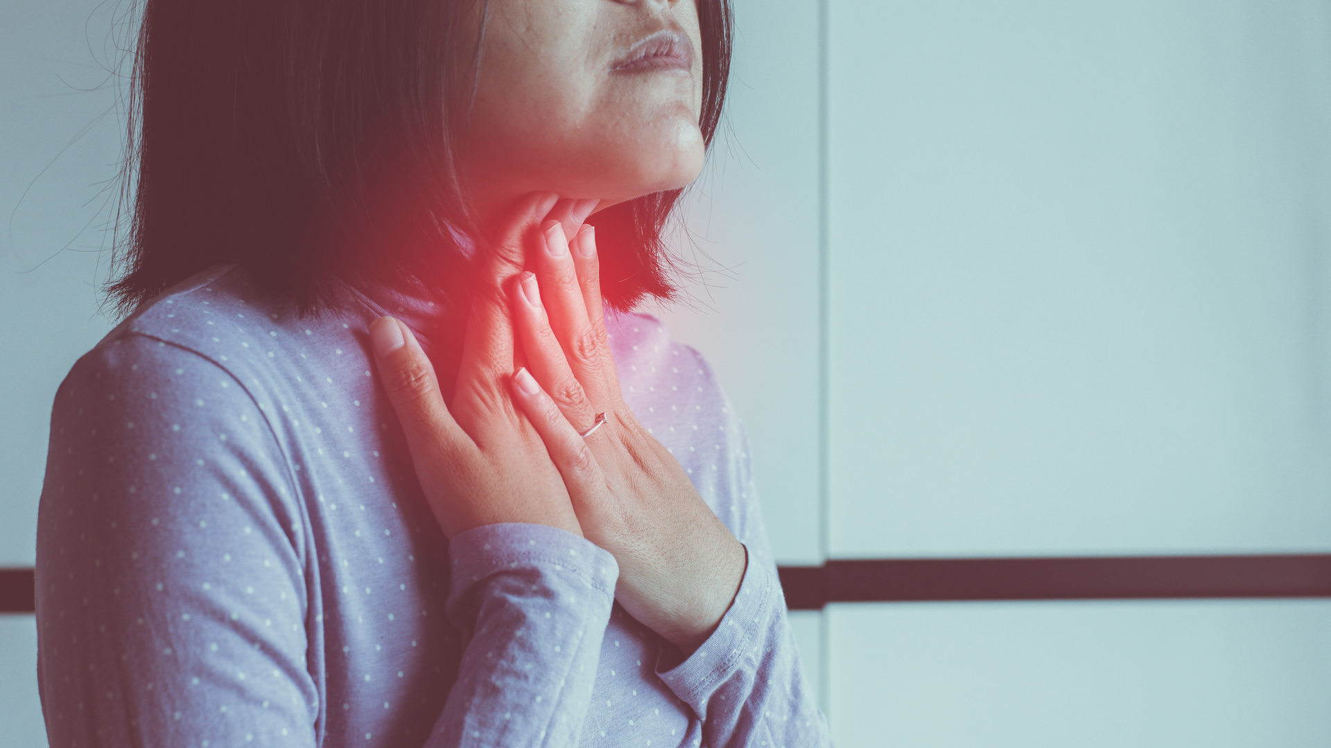 Adobe Stock 282023884 62b9d48423fe7