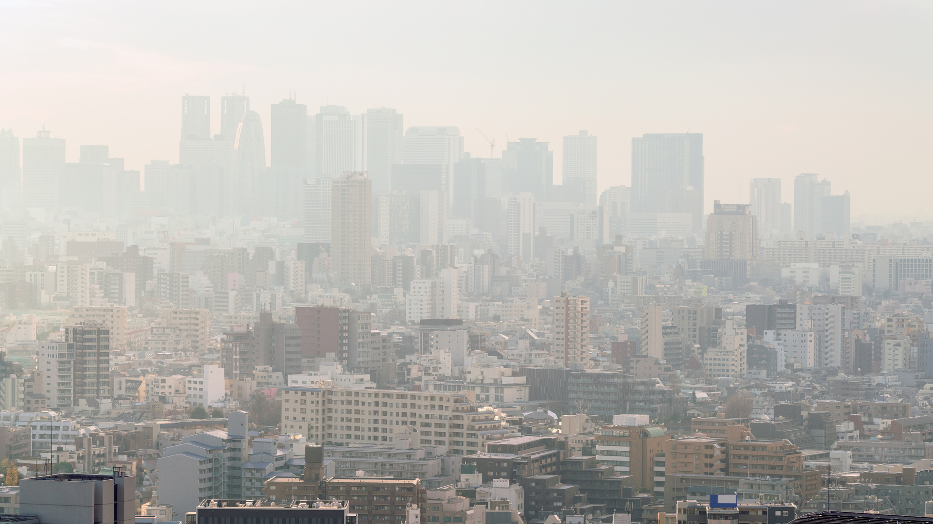 Adobe Stock 291880557 62b1da0d98d7f