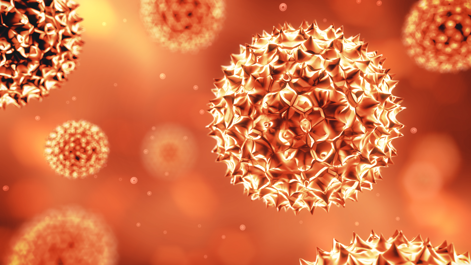 Adobe Stock 301918770 62a0cab7b41f6