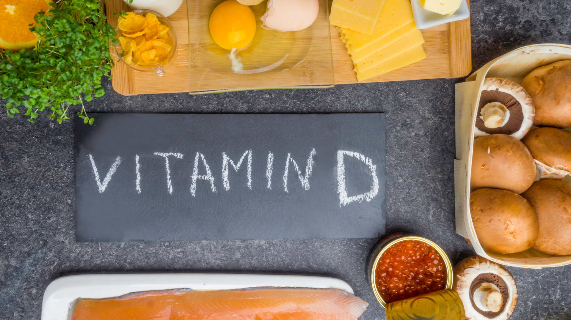 Adobe Stock 310628164 62acaf841377d